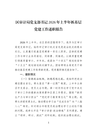 区审计局党支部书记2026年上半年抓基层党建工作述职报告