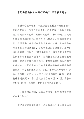 市纪委监委树立和践行正确政绩观学习教育总结