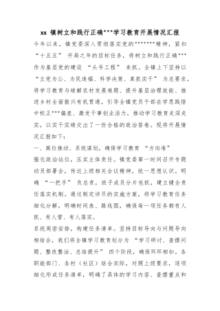 镇树立和践行正确政绩观学习教育开展情况汇报