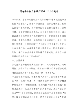 国有企业树立和践行正确政绩观工作总结