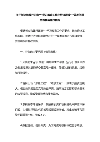 关于树立和践行正确政绩观学习教育工作中经济领域政绩观偏差问题的查找与整改措施