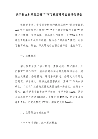 关于树立和践行正确政绩观学习教育活动自查评估报告