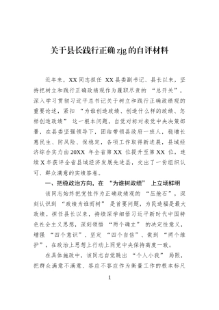 关于县长践行正确zjg的自评材料