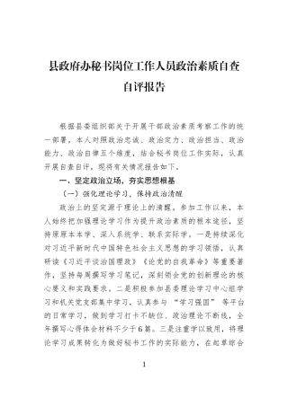 县政府办秘书岗位工作人员政治素质自查自评报告