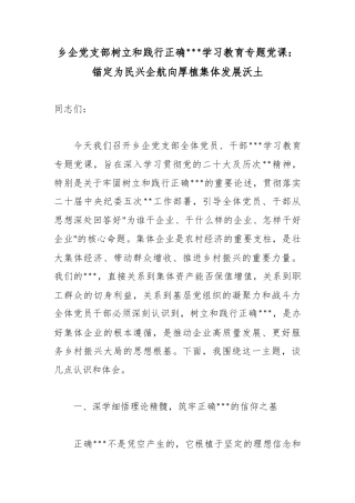 乡企党支部树立和践行正确政绩观学习教育专题党课：锚定为民兴企航向厚植集体发展沃土