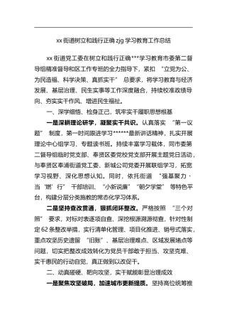 街道树立和践行正确zjg学习教育工作总结