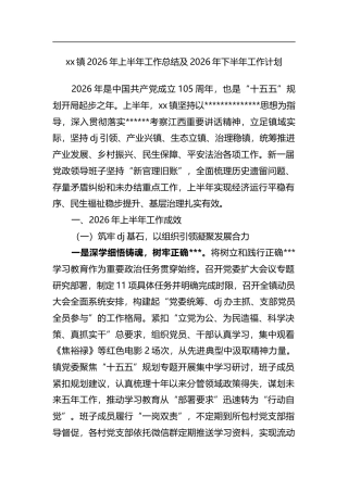 镇2026年上半年工作总结及2026年下半年工作计划