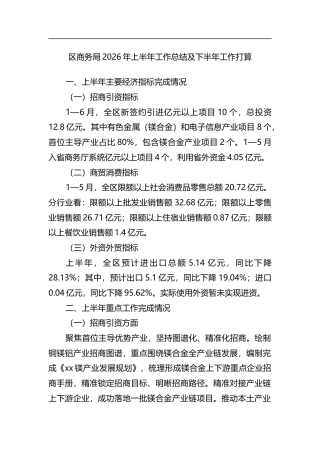 区商务局2026年上半年工作总结及下半年工作打算计划