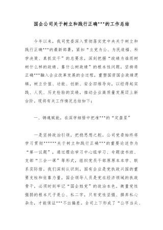 国企公司关于树立和践行正确政绩观的工作总结