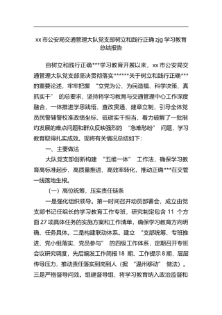 市公安局交通管理大队党支部树立和践行正确zjg学习教育总结报告