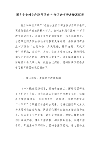 国有企业树立和践行正确政绩观学习教育开展情况汇报