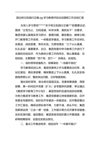 国企树立和践行正确zjg学习教育评估访谈提纲工作总结汇报