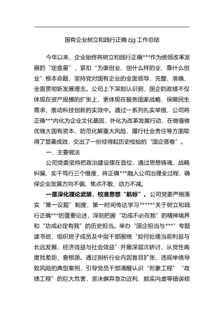 国有企业树立和践行正确zjg工作总结