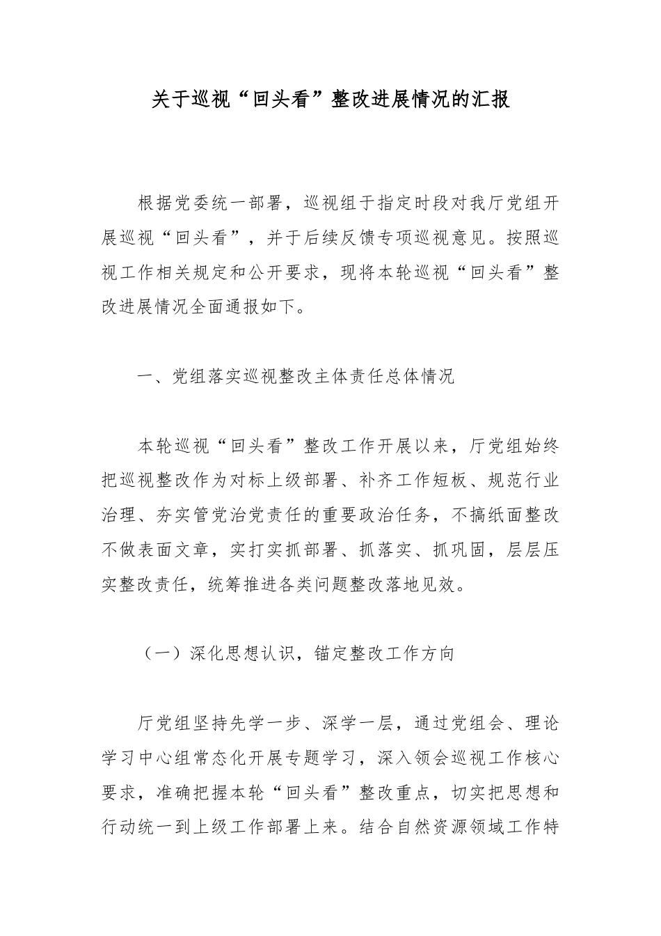 关于巡视“回头看”整改进展情况的汇报_第1页