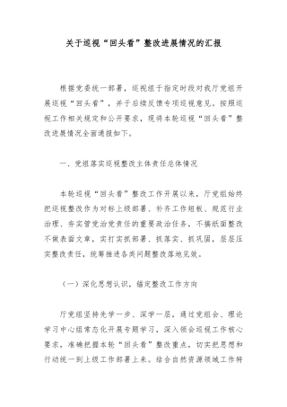 关于巡视“回头看”整改进展情况的汇报