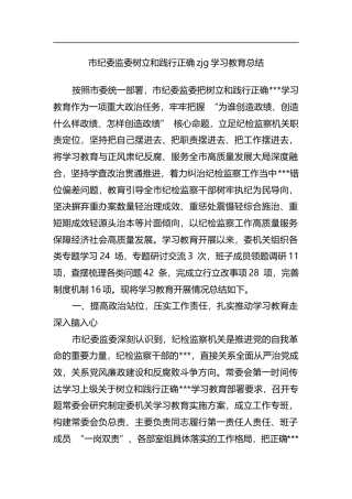 市纪委监委树立和践行正确zjg学习教育总结