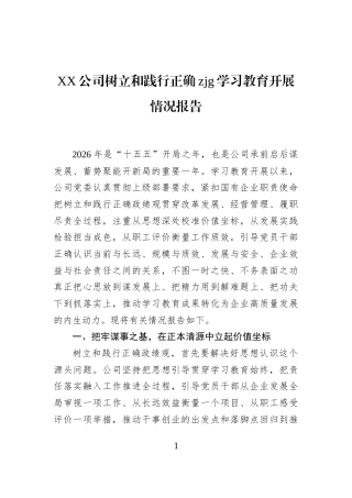 XX公司树立和践行正确zjg学习教育开展情况报告