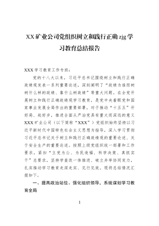 XX矿业公司党组织树立和践行正确zjg学习教育总结报告