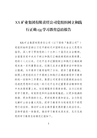 XX矿业集团有限责任公司党组织树立和践行正确zjg学习教育总结报告