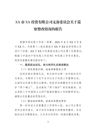 XX市XX投资有限公司支部委员会关于巡察整改情况的报告