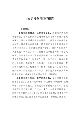 zjg学习教育自评报告