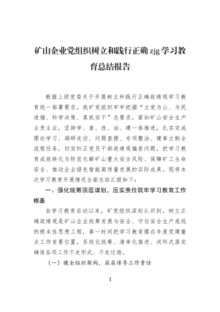 矿山企业党组织树立和践行正确zjg学习教育总结报告