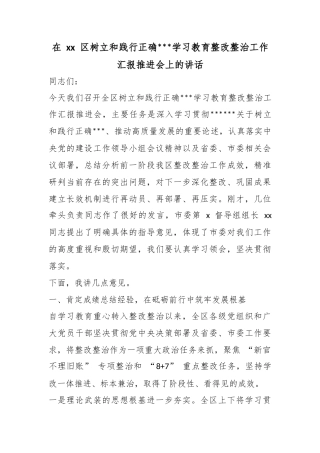在区树立和践行正确政绩观学习教育整改整治工作汇报推进会上的讲话