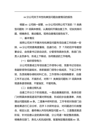 分公司关于共性和典型问题自查情况的报告