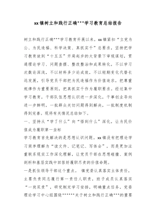 镇树立和践行正确政绩观学习教育总结报告