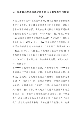 街道自然资源网格化田长制山长制管理工作实施方案