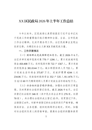 XX区民政局2026年上半年工作总结