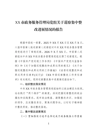XX市政务服务管理局党组关于巡察集中整改进展情况的报告