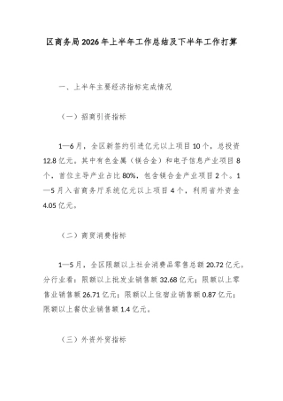 区商务局2026年上半年工作总结及下半年工作打算