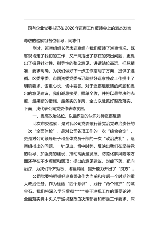 国有企业党委书记在2026年巡察工作反馈会上的表态发言