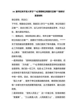 副书记关于深入学习习近平党建思想树立和践行正确政绩观的研讨发言材料