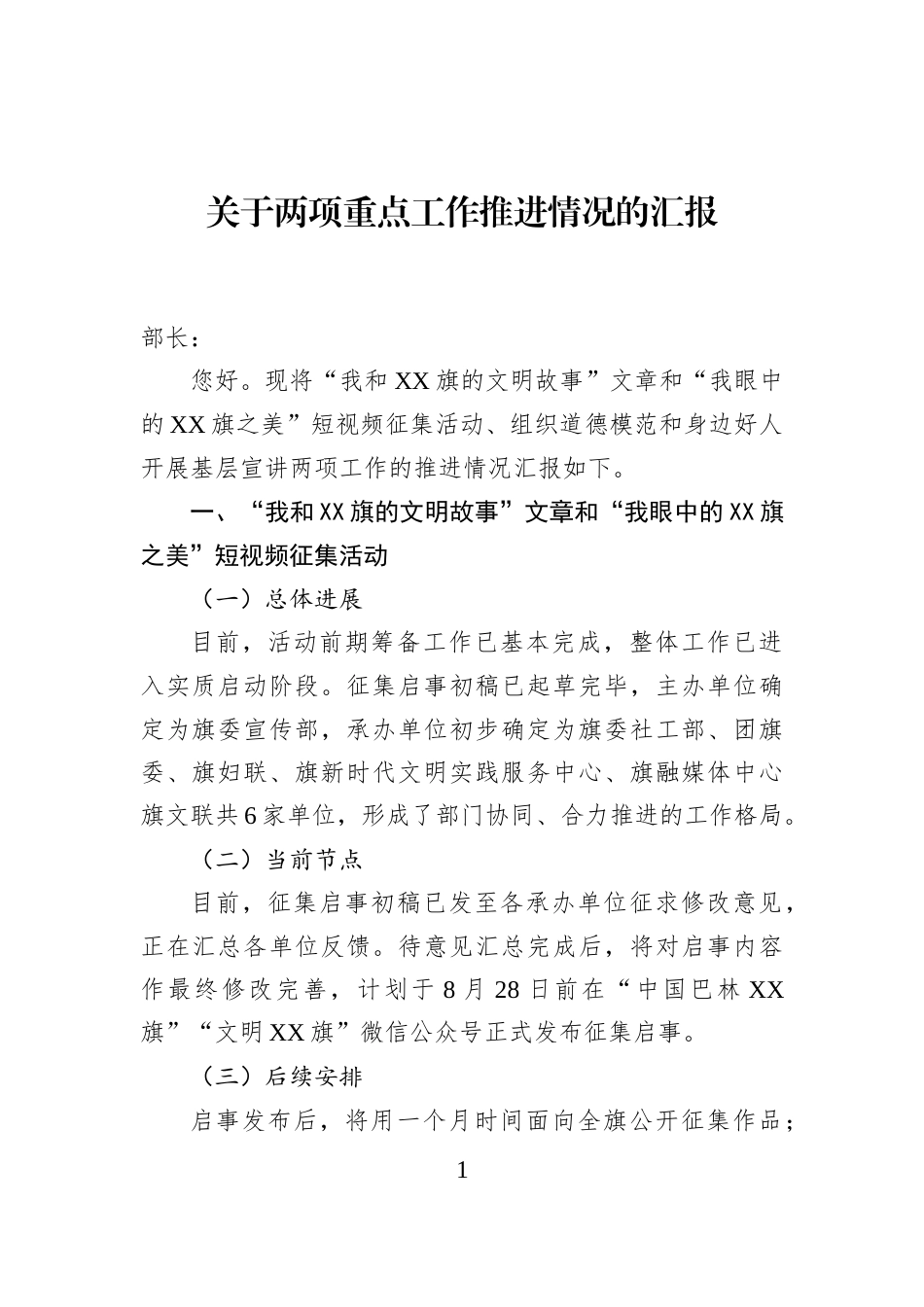 关于两项重点工作推进情况的汇报_第1页