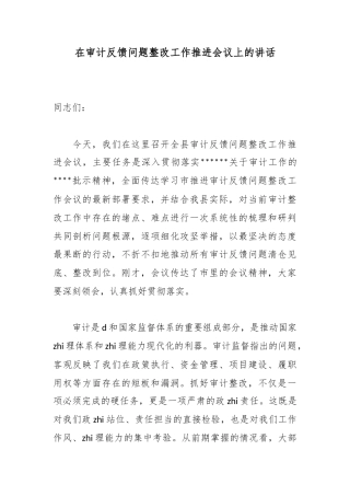 在审计反馈问题整改工作推进会议上的讲话