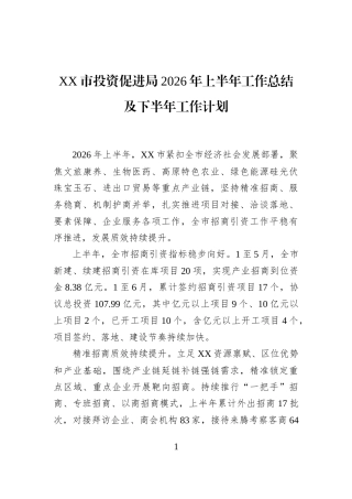 XX市投资促进局2026年上半年工作总结及下半年工作计划 (1)