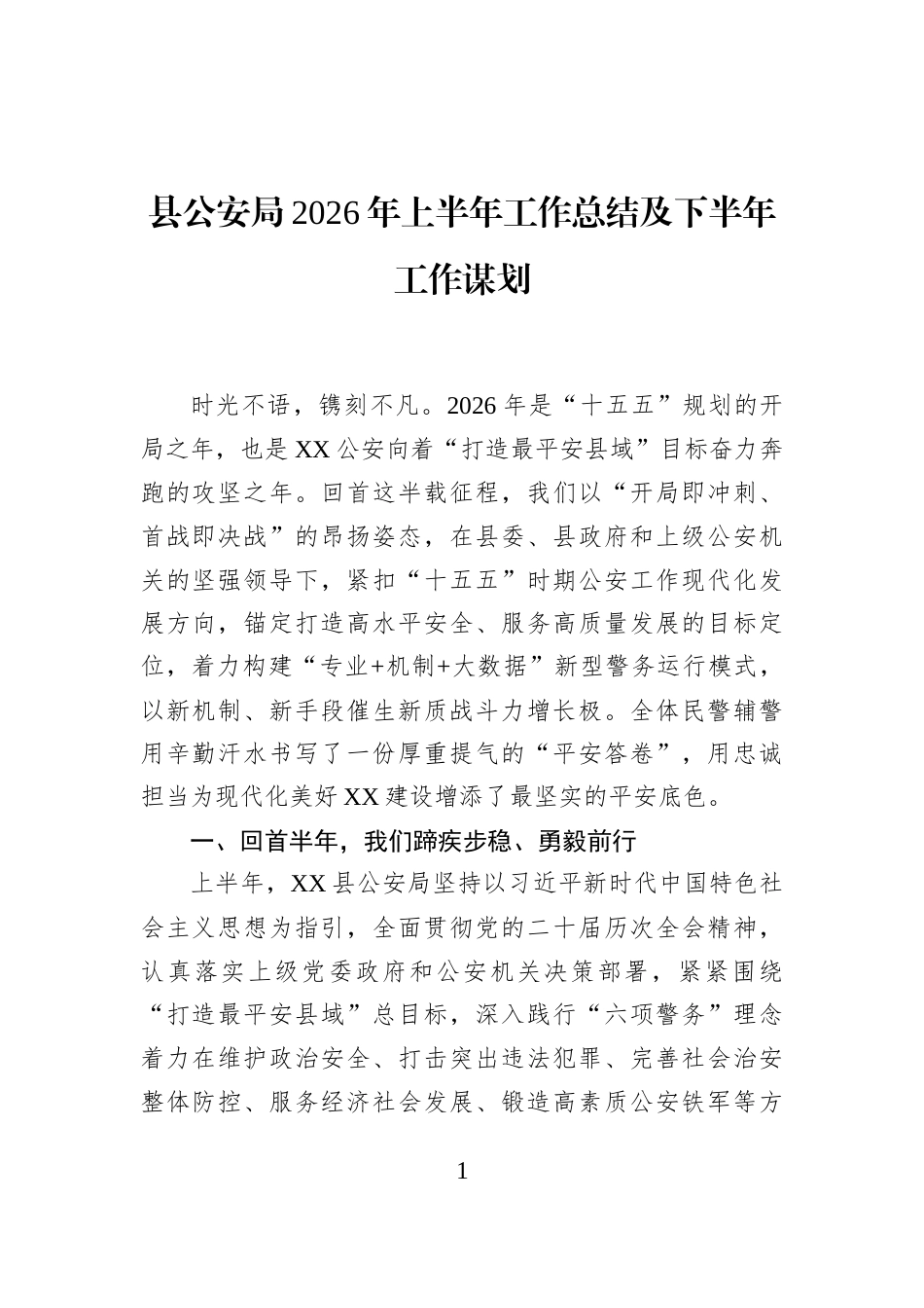 县公安局2026年上半年工作总结及下半年工作谋划_第1页