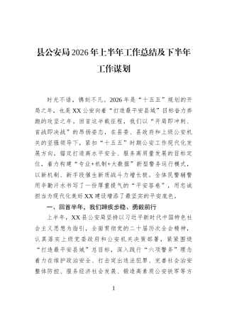 县公安局2026年上半年工作总结及下半年工作谋划