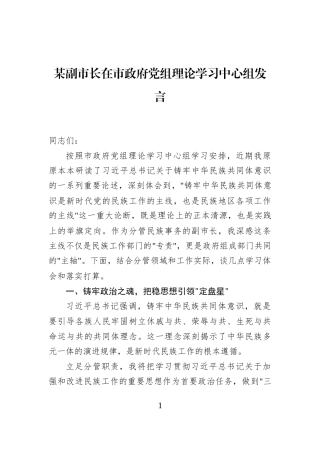 某副市长在市政府党组理论学习中心组发言