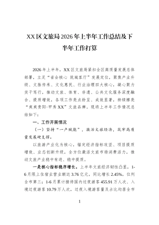 XX区文旅局2026年上半年工作总结及下半年工作打算