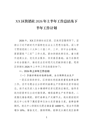 XX区供销社2026年上半年工作总结及下半年工作计划