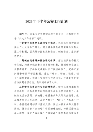 2026年下半年公安工作计划