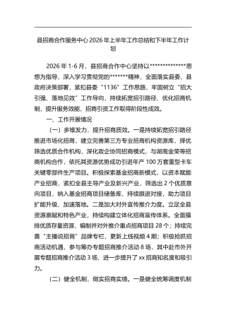县招商合作服务中心2026年上半年工作总结和下半年工作计划_11c8fcd7