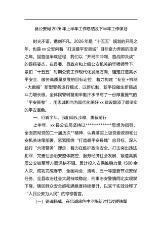 县公安局2026年上半年工作总结及下半年工作谋划计划