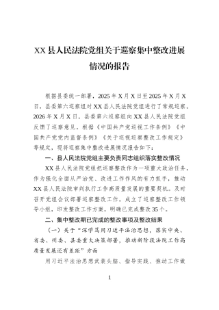 XX县人民法院党组关于巡察集中整改进展情况的报告