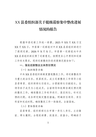 XX县委组织部关于提级巡察集中整改进展情况的报告