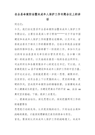 在全县命案防治暨未成年人保护工作专题会议上的讲话