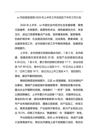 市投资促进局2026年上半年工作总结及下半年工作计划